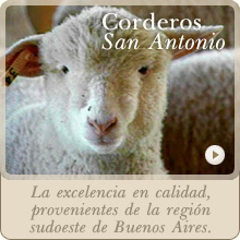 Corderos San Antonio