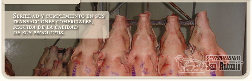Frigorífico y Matadero San Antonio •> Seriedad y cumplimiento en sus transacciones comerciales, seguida de la calidad de sus productos.