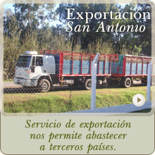 Servicio de Exportación Frigorífico San Antonio
