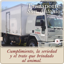 Servicio de Transporte Frigorífico San Antonio