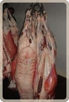 Frigorífico San Antonio