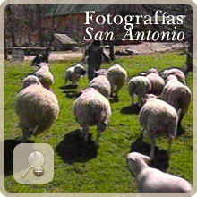 Fotografías del Frigorífico San Antonio
