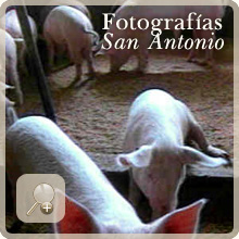 Fotografías del Frigorífico San Antonio